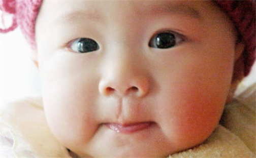 胡姓男孩子取名