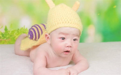 杨姓男孩子取名