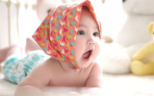 张姓男孩子取名