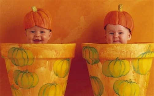 高姓2026年06月03日出生的女孩子取什么名字好？八字五行取名分析