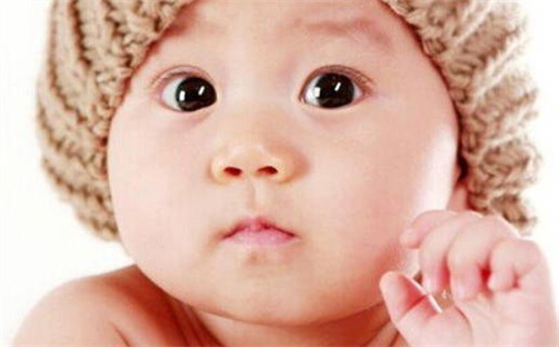 张姓男孩子取名