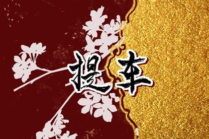2030年07月05日提车黄历查询 2030年07月05日提车黄历查询