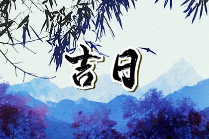 2028年02月13日提车黄历查询