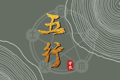 2029/02/10【今日穿衣】五行指南