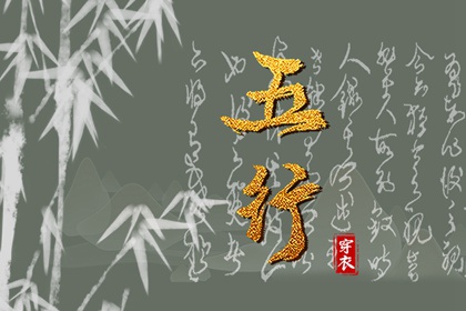 2029.04.07【五行穿衣】全攻略