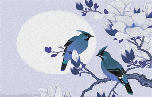 2028年8月21日装修指南：适宜与忌讳解析，助你明智决策